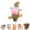 Bearded Dragons Harness Leashes Set Cute Backpack Back to School