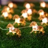 Pony String Lights 20 LED 7FT Horse Fairy Lights Battery