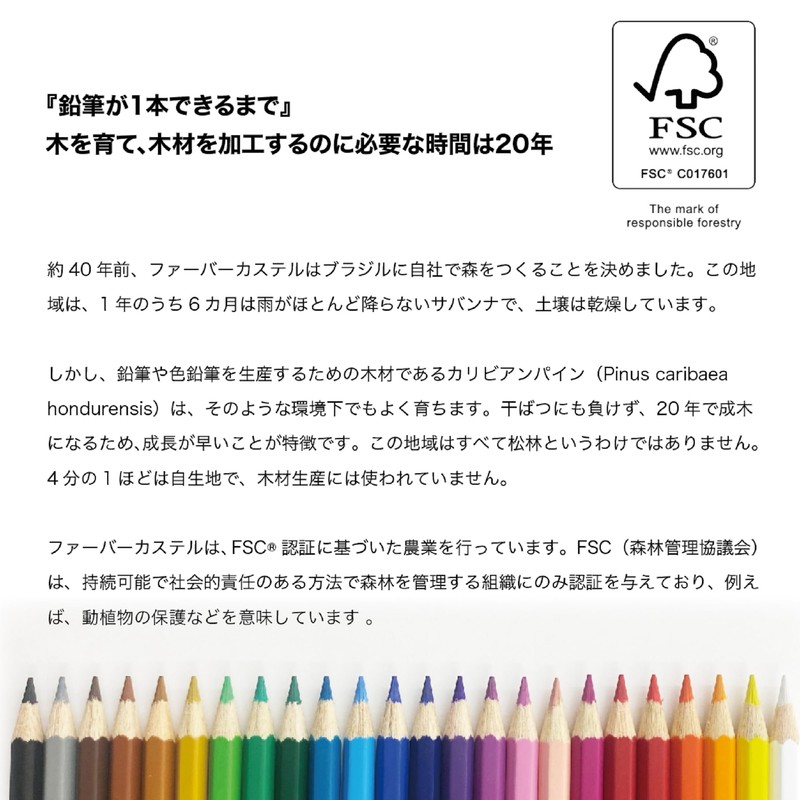 ファーバーカステル 色鉛筆 丸缶 12色セット 27191111