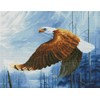 Abillyn Eagle Embossed Cross Stitch Kit with Printed Pattern Starter