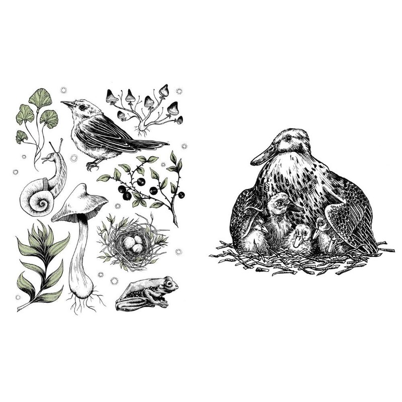 Books 15 Minute Art Pen & Ink