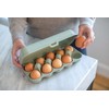 EGGS TO GO egg box Green