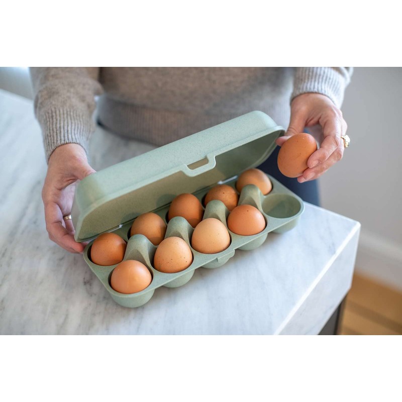 EGGS TO GO egg box Green