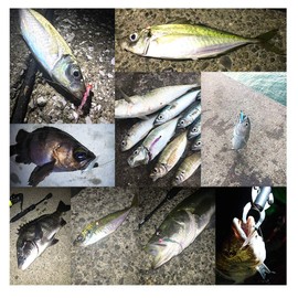 BREADEN Metal Jig, Metal Maru, 28 Singles, #03, Blue Sardine