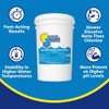 In The Swim Bromine Plus and Alkalinity Increaser - 3.5
