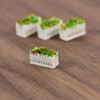 Scene Collection Model Flower Garden Park Street 1:150 Pack of