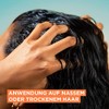 Elvital Dream Length Curls 3-in-1 Feuchtigkeitsmaske