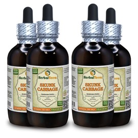 Skunk Cabbage (Symplocarpus Foetidus) Tincture, Dried Roots Liquid Extract (Brand Name: HerbalTerra, Proudly Made in USA) 4x4 fl.oz (4x120 ml)