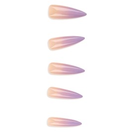 E&A 24pcs Press On Nails Long Stiletto Fake Nails Full Cover UV Finish Acrylic False Nails with Design Press On Manicure for Women Girls