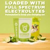 Gnarly Nutrition Gnarly Nutrition Hydrate Electrolyte Powder C Salted Margarita