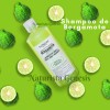 Florigan Shampoo Bergamota Florigan 1lt Crecimiento De Cabello Pack 5