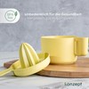 KONZEPT Lemon Squeezer, Orange Squeezer with Container 500 ml -