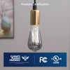 FLSNT LED Edison Bulbs, 5000K White Light Dimmable ST19 LED