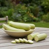 Courgette Zucchino Lungo Bianco – Light Green Italian Variety –