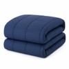 EVOLIVE All Season Comforter – Ultra Soft Pre-Washed Microfiber Down