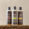 Urtekram Tea Tree Shampoo Organic 250 ML (order 6 for