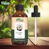 Organic Zing Coconut (Cocos Nucifera) Oil | Pure & Natural