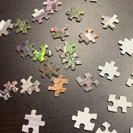 Crown Point Graphics Sera Romantica - 1000 Piece Jigsaw Puzzle - Artist James Coleman - Soft Touch Design - Romantic Café Puzzle with Canal, Balconies and Flowers at Night