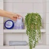 Dr. Teal's Body Scrub with Lavender