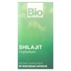 Bio Nutrition Shilajit (Asphaltum), 60 Vegetarian Capsules