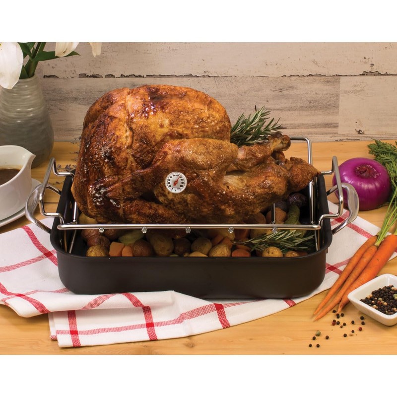 HIC Kitchen Roasting Instant-Read Meat Thermometer, Stainless Steel, Shatterproof Face,