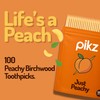 pikz Flavoured Toothpicks – Bold Natural Flavours, Resealable Packs –