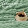 BEDELITE Fluffy Fleece Throw Blanket - Sage Green Sofa Throw