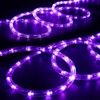 West Ivory 76LEDs, 10ft Purple Outside LED Rope Light, 8