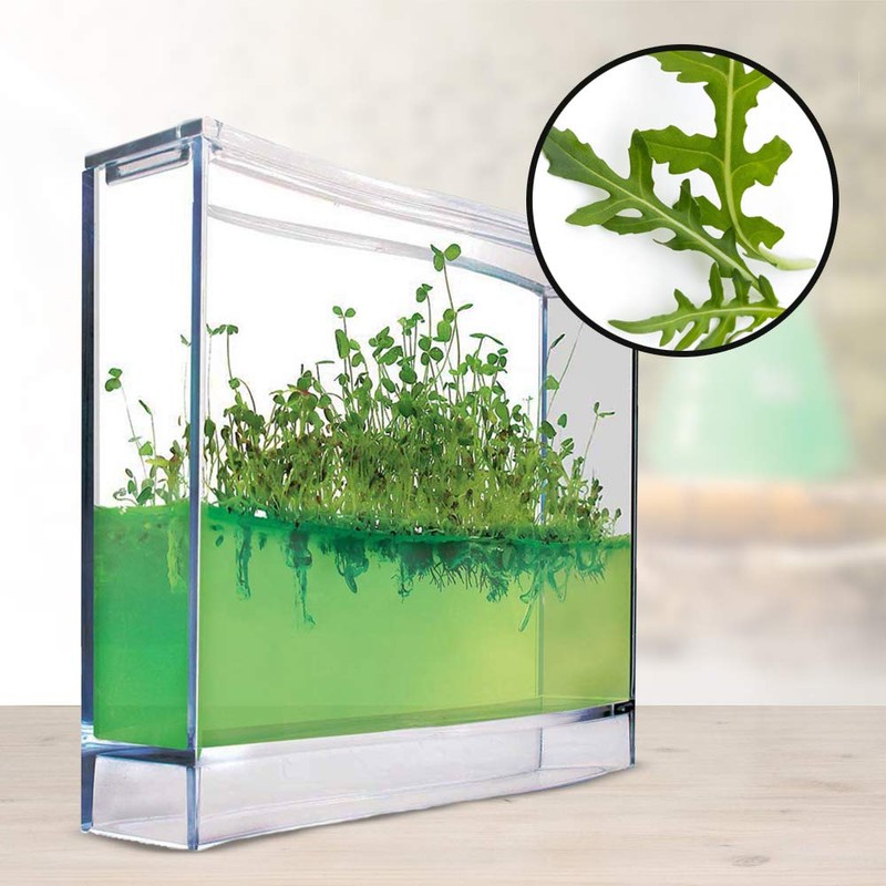 Monsterzeug Gel Greenhouse for Spices - Mini Plantarium for Herbs