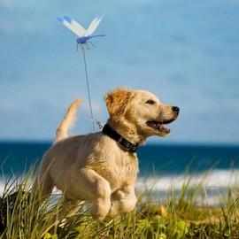 9 Pack Dragonfly Clip,3D Dragonfly Garden Stakes Decor,Fly Deterrent,Dragonfly Humming Bird Stakes,Deer and Horse Fly Deterrent,Garden Bird and Fly Scare Devices for Indoor Outdoor