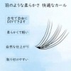 FELICIA Partial False Eyelashes, Natural, Matsueku Self Bundle, False Eyelashes
