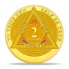 2 Month Sobriety Coin - AA Chips and Medallions with