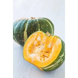 Sunshine Seeds Japanese Kurinishki Kabocha Squash Seeds (20) / WINTER / ORGANIC / VERY RARE