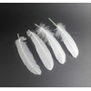 100PCS White Goose Feather 6-8inch Mixed Jewelry Making Crafts Swan