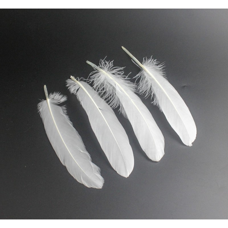 100PCS White Goose Feather 6-8inch Mixed Jewelry Making Crafts Swan