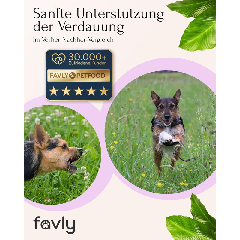 FAVLY Gastro Powder Gastro Gastro Intestinal Flora for Dogs 250