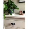 Brass bee 2 x Solid Drawer Knob Handles | Drawer