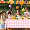 CXSAZRY 4 Packs Pink Gingham Tablecloth Pink and White Checkered