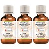 Greenwood Essential Pure Argan Oil (Moroccan) (Argania spinosa) Natural Therapeutic