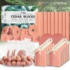 Cedar Blocks for Clothes Storage 67 Pack, Cedar Chips, 100%