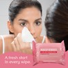 Air Jungles Makeup Remover Wipes 25 Count (Pack of 4),