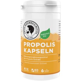 AKTIV NATURHEILMITTEL Propolis Kapseln PLUS mit Bambussprossenextrakt - 60 Stück mit 300mg Propolis - Hochwertig und echt aus Deutschland