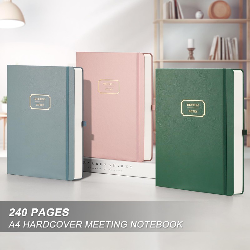 EMSHOI Meeting Notebook for Work with Action Items - 240