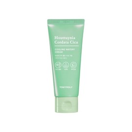 Eoseong Chocica Cooling Moisture Cream 90ml / 어성초시카 쿨링 수분크림 90ml