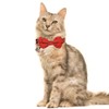 Lamphyface Christmas Cat Collar Breakaway with Cute Bow Tie and