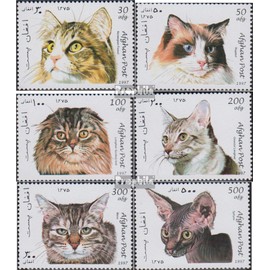 Afghanistan 1726-1731 (complete.issue.) unmounted mint/never hinged ** MNH 1997 Cats (Stamps for collectors) Cats/big cats (lions/tigers/leopards ...)