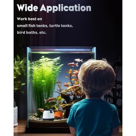 Pawfly 80 GPH 4 W Mini Submersible Water Pump Small Fountain Pump with 2.6 ft. Lift Height Ultra Quiet Aquarium Pump with 2 Nozzles & 5.5 ft. Power Cord Submersible Pump for Fish Tanks Garden Statuary