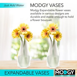 MODGY Expandable Flower Vase, Plastic Decorative Modern Foldable Printed Vases for Centerpieces for Wedding, Dining Table, Home Decor, Living Room, Bathroom, Office, Crys, 2 Pack