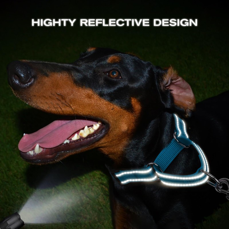 Joytale Martingale Collar for Dogs, Reflective Heavy Duty for Safety,