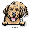 Golden Retriever Peeking Paws Sticker (2 Pack) 4” x 3.5”
